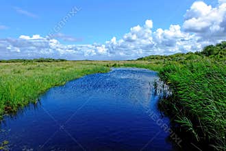 Gentle breeze peaceful landscape in summer
