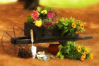 Gardening N' Wheelbarrel