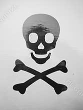 Black and white skull and cross bones skeleton detail print
