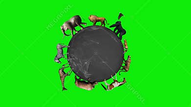 Animals circle the world globe - green screen
