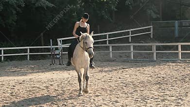 Caring for the Animal