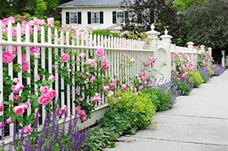 Elegant Garden Fence With Roses