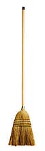 Yellow Broom