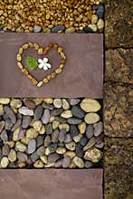 Heart of nature