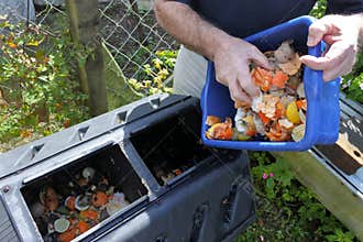 Hands emptying a container full of domestic food waste