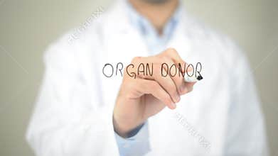 Organ Donor , Doctor writing on transparent screen