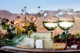Wine Tasting