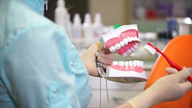 Doctor dentist shows how to properly brush your teeth with a toothbrush