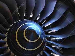 Fan Blades