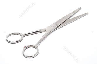 Hair Scissors