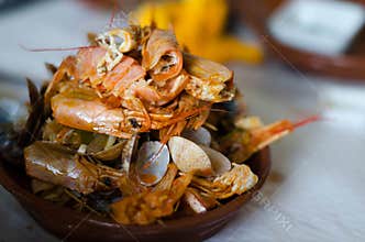 Seafood Feast Aftermath