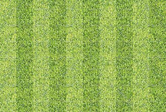 Seamlessly green grass texture background.