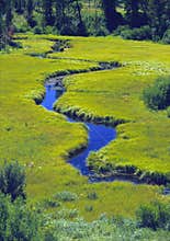 Meandering Stream Through A Meadow