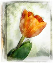 Vintage flower
