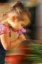 Stop to Smell the Flowers