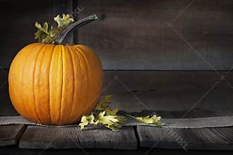 Pumpkin Fall Leaves