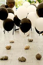 Black & white balloons