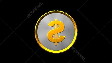 Spinning coin with money sign
