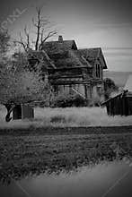 BW Frontier Farmhouse in Wheat Field