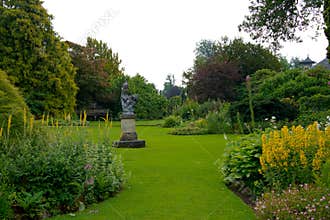 Plant and flowers in garden