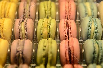 Farmers Market colorful cookies