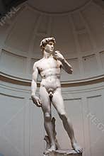Michelangelo's David