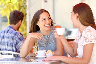 Two friends or sisters talking taking a conversation in a bar