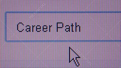ONLINE JOB HUNTING: Macro ECU User Types 'Career Path'