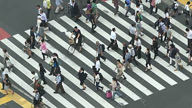 Busy Pedestrian Street Crossing From Above - Shibuya, Tokyo Japan