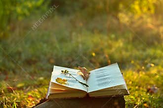 Vintage book of poetry outdoors