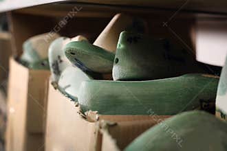 Shoemaker's workshop, bookcase with hooves shoe-making