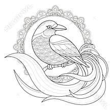 Graceful bird coloring page