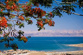 View of the Dead Sea, Israel