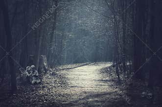 Halloween landscape. Dark forest with empty road