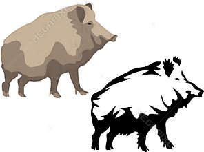 Wild boar