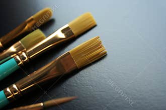 Art brush