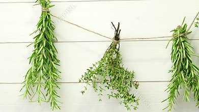 Single twigs of Thyme and Rosemary