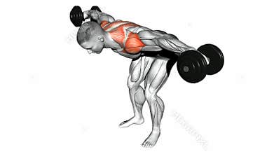 Video guides exercising. Lifting dumbbell in hand to lean forwa