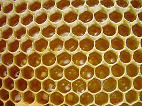 Honey