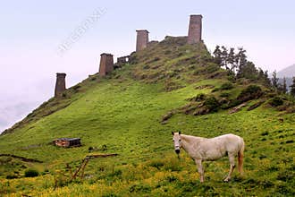 The towers in Omalo village. Tusheti region (Georgia)