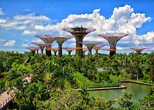Supertree Grove, Gardens by the Bay, Singapore