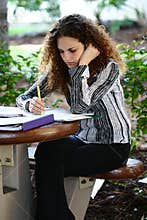 Study Hard
