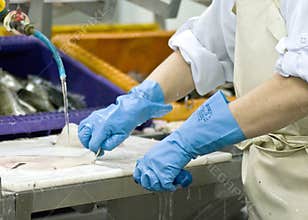 Fish processing factory