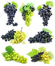 Collection of ripe fruit grape cluster isolated