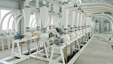 Electrical mill machinery for the production of wheat flour. Grain equipment. Grain. Agriculture. Industrial