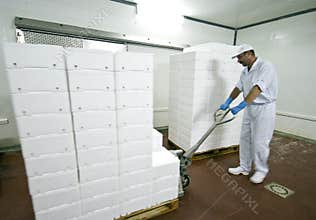 Transporting polystyrene boxes