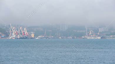Nature of Vladivostok. Primorsky Krai