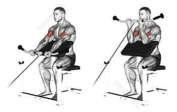 Exercising. Cable peacher curl