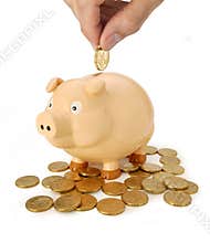 Australian Piggy Bank Savings Money