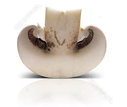 Mushroom